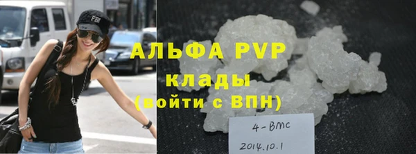 амф Бородино