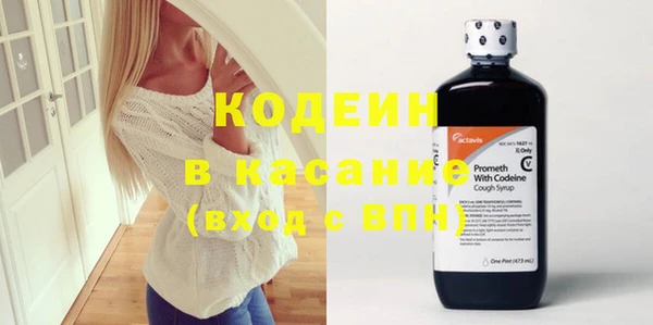 амф Бородино