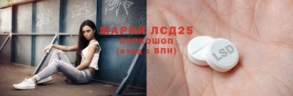 амф Бородино