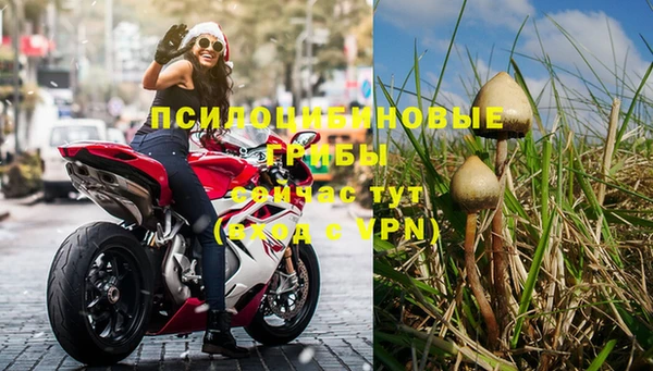 гашик Бугульма