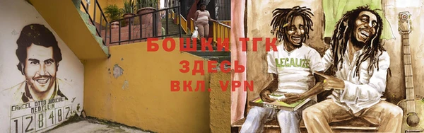 амф Бородино